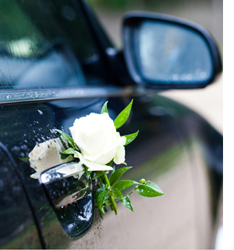 Wedding Transport - Cars to Carriages